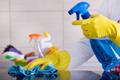 Professional pet stain odour removal in a St Lukes home