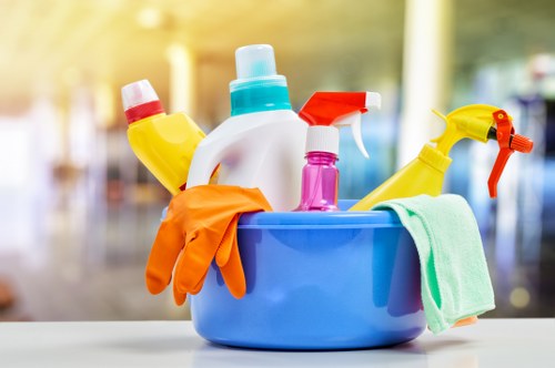 Upholstery pet stain odour removal service in St Lukes