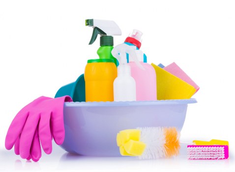 Deep cleaning process for pet odour removal in St Lukes