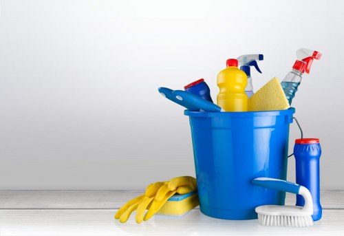 Carpet cleaning team using sustainable recycling practices in St Lukes
