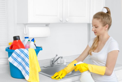 Professional carpet care process by St Lukes Carpet Cleaners